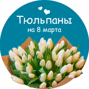 Купить тюльпаны в Скопине